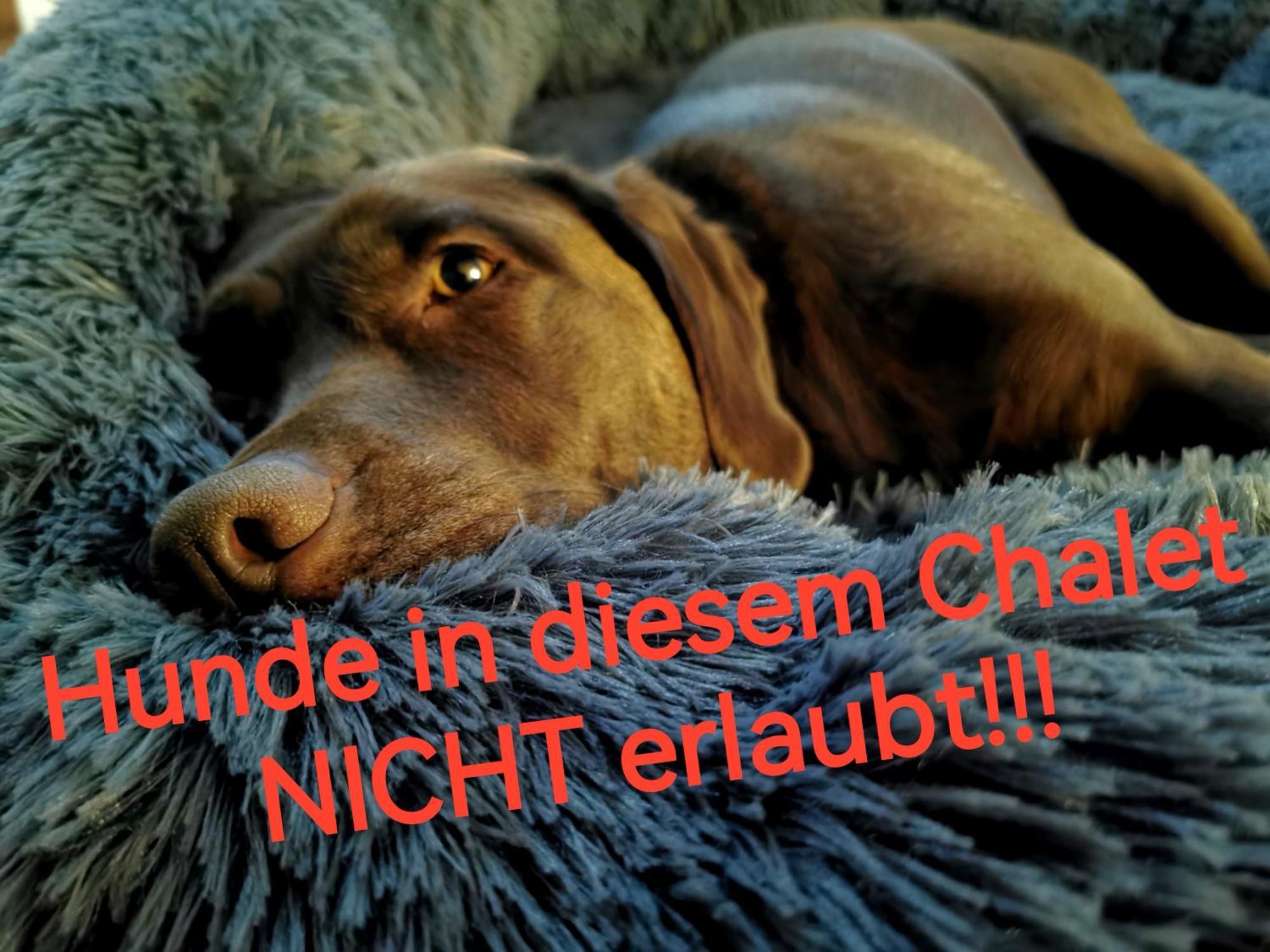 Blockhausen Luxus Chalets Oberschwarzenberg 외부 사진